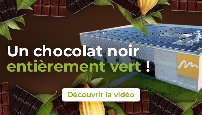 bandeau home video chocolat 2024